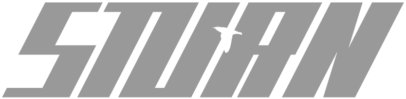 Sturn Logo