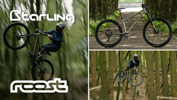 Starling Cycles Roost Video Thumbnail